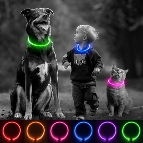 iTayga leuchthalsband Hund, USB-aufladbar und wasserdicht hundehalsband, verstellbare Länge, Sicherheitshalsband für Hunde und Katzen, 3 Modi, Grün