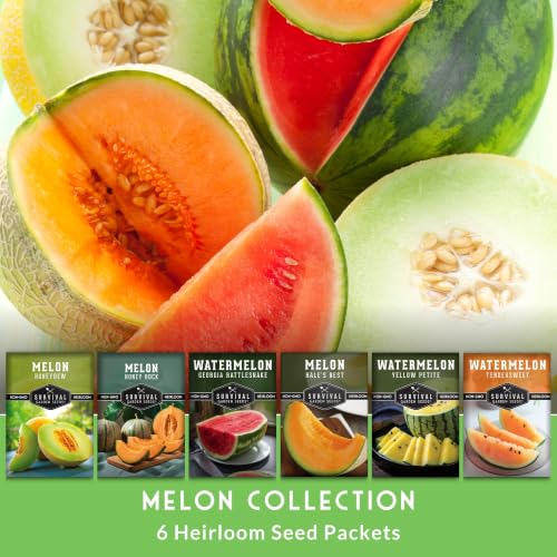 Melon Seeds for Planting, 6-Variety Pack Heirloom Fruit Collection - Image 3