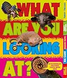 What Are You Looking At?