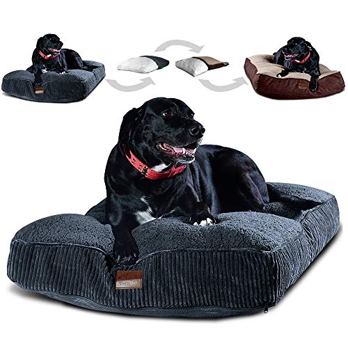 48 x 30 dog bed