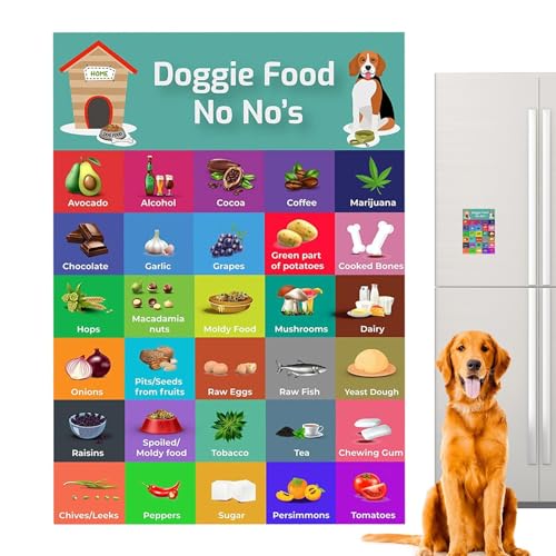 Sichere Hundediät – Sicherheitsratgeber mit 30 Lebensmitteln, bunter Magnet-Sicherheitsliste | Fütterungstabelle für Hunde, Tabelle mit Nahrungsmitteln, die Hunde nicht essen sollten, Bilder von Gesun