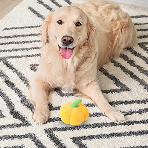 Virtcooy Giocattolo per cane zucca - Giocattolo