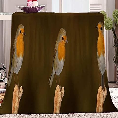 ZJFHNB Flannel Blanket Robin 51 x 59inch Home Blankets, Fluffy Blanket Warm Bed Throws for Sofa and Pet,Exquisite Comfortable Flannel Fleece Blanket Cover