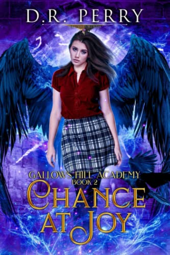 Cover of Chance at Joy