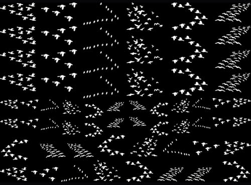 Bird Flocks 61 pcs White Fused Glass Decals