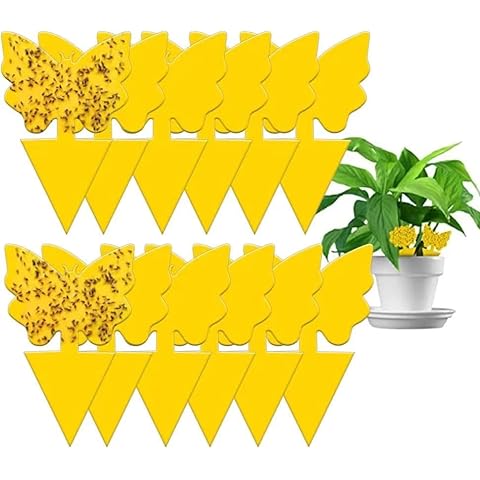 Adawook 24pcs Sticky Traps, Fruit Fly Traps for Indoors, Gnat Sticky Traps for House Plant, Fruit Fly, Whitefly, Fungus Gnat,and Bugs, Yellow Cover
