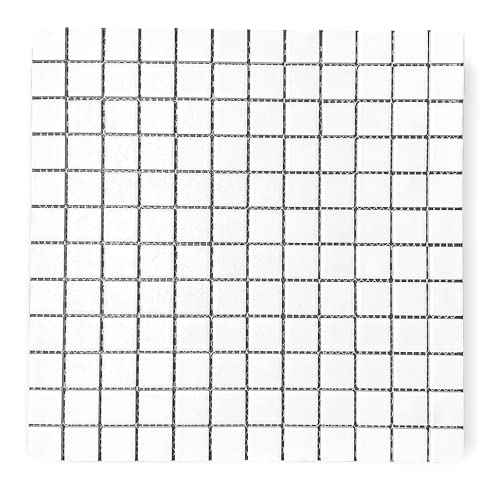 Tenedos TDPW-UGSW1X1-404 White Porcelain 7/8 Inch Square Unglazed Finish Mosaic