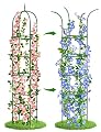Trellis for Climbing Plants Outdoor, 6FT Garden Obelisk Rustproof PE Coated Metal Potted Plant Climbing Support, Thickened Tube Plant Tower Trellis for Clematis Vine Support Indoor (1 Pack)