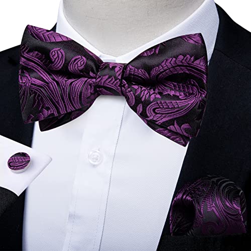 Image of DiBanGu Paisley Pre-Tied Bow Ties for Men Silk Adjustable Bowtie and Pocket Square Cufflinks for Wedding Party