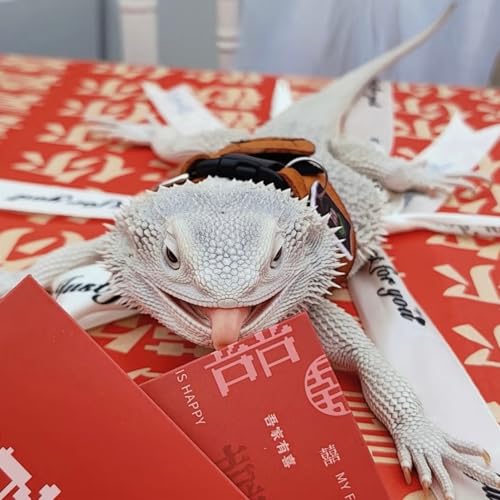 Image of Bearded Dragon Harness and Leash Set, Adjustable Harness Soft Leather-3 Sizes (S, M, L) with Leash, Lizard Reptile Traction Rope Walking Vest Accessories for Bearded Dragon, Iguana or Gecko (Brown)