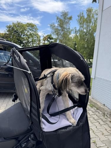 DEEMEED Hundetasche Motorrad XL - Transportbox für große Hunde bis 36kg - Universalbefestigung für Sissybar & Gepäckträger - Cordura 1500D, stabilisierter Aluboden & maximale Belüftung