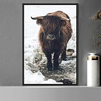 Framed Canvas Wall Art Bison Animals Expressive Farmhouse/Country Goat Living Room Multicolor Photography - 16x24 inches