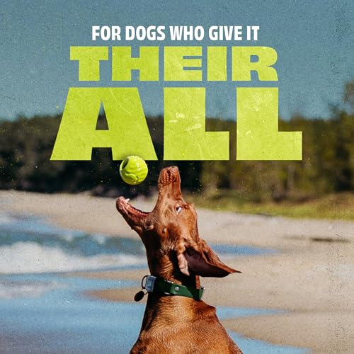 Image of Benebone Natural Rubber Ball, 2-Pack