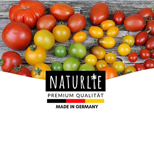 20er Tomaten Samen Set - 20 Sorten Tomatensamen für Balkon und Garten - Tomaten Anzuchtset - bunte und alte Tomatensorten von Naturlie - Garten Samen Gemüse als praktisches Tomatenset