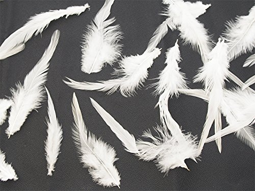 フライフィッシング用羽毛マテリアル マテリアル・フェザー・ファー・ヘアー・フォックス・ストリップ