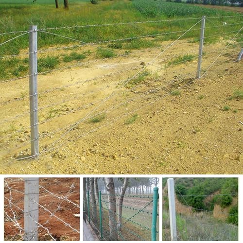 Fil barbelé galvanisé acier robuste clôture protection agricole enclos