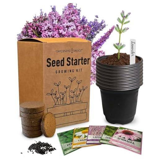 21+ Stunning Lavender and Hydrangea Landscaping Ideas to Transform Your Garden 2 Tea Growing Kit - Includes Medicinal Lavender, Chamomile, Lemon Balm, Peppermint and Echinacea Heirloom Garden Seeds, Grow Pots, Soil, Plant Markers, Indoor Herb Kit Outdoor Tea Garden Kit