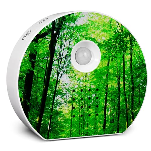 Bird Chirping Sound Box for Bathrooms: Singing Bird Box Motion Sensor for Interiors - Relaxing Nature Birdybox Singing Bird Sound Machine for Sleep - Green