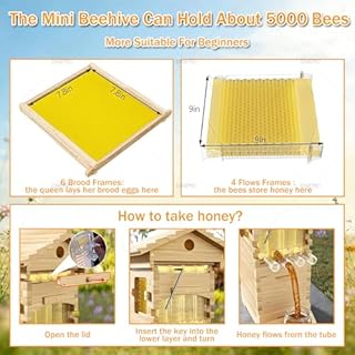 Flow Hive Style Beekeeping Starter Kit, Wooden Beehive with 4 Automatic Honey Frames & 6 Brood Frames, Clear Observation Window & Easy-Release Honey Spout, Perfect for Backyard Honey Harvest