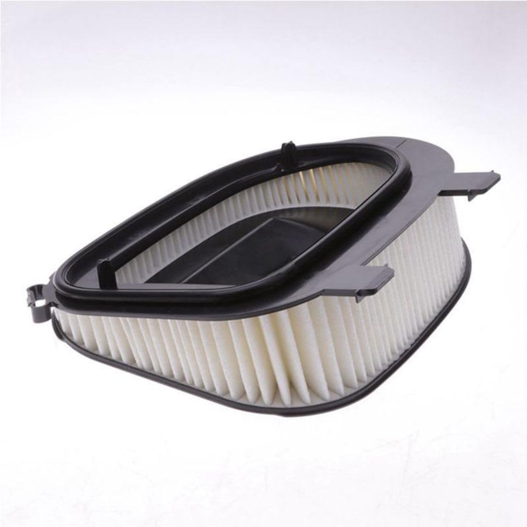 Front Engine Air Filter 13717811026 0421950 Compatible with BMW X3 X5 X6 F25 F15 E72 E71 E70 2.0-3.0L