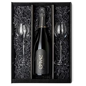 en vie d’éphémère Champagne | Champagner aus nachhaltigem Anbau, vegan, trocken, brut, fruchtig, 1×0,75l Flasche (1x 0…