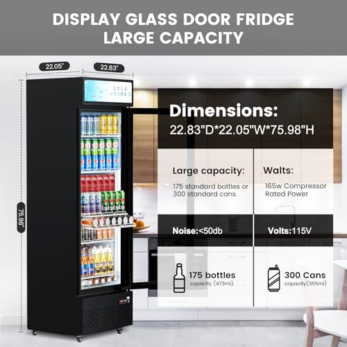 Image of Commercial Display Refrigerator Glass Door 11 cu.ft Commercial Beverage Refrigerators with LED and Shelves for Cafe, Restaurant, Store