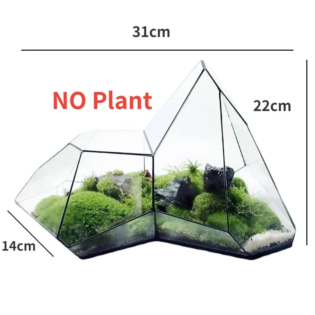 Małe nieregularne geometryczne terrarium, szklane terrarium geometryczne, miniaturowe szklane terrarium, doniczka, ręcznie wykonane, nieregularne pojemniki do terrarium na sukulenty, paprocie, rośliny