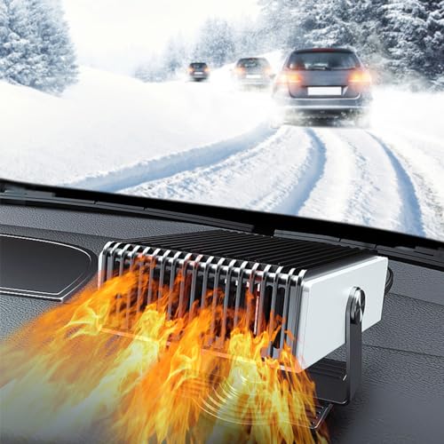 Riloer: Calentador de coche de 12 V 150