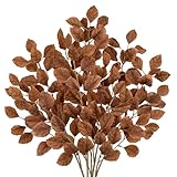 Arborus