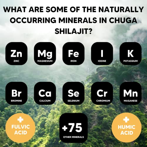 Pure Himalayan Shilajit Resin | Naturally Sourced Grade A Shilajit | 3 Month Supply, 15 Grams | #TOP2