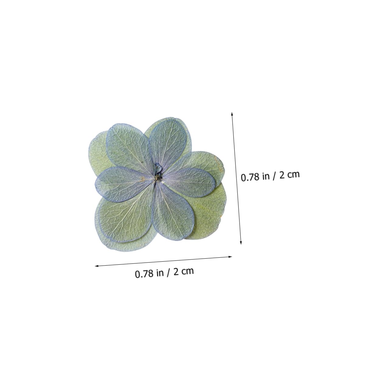 STOBAZA 5 Set Di Fiori Secchi Naturali Mini Fiori Pressati Artigianali Per Segnalibri in Resina Decorativi 30 Pezzi * 5