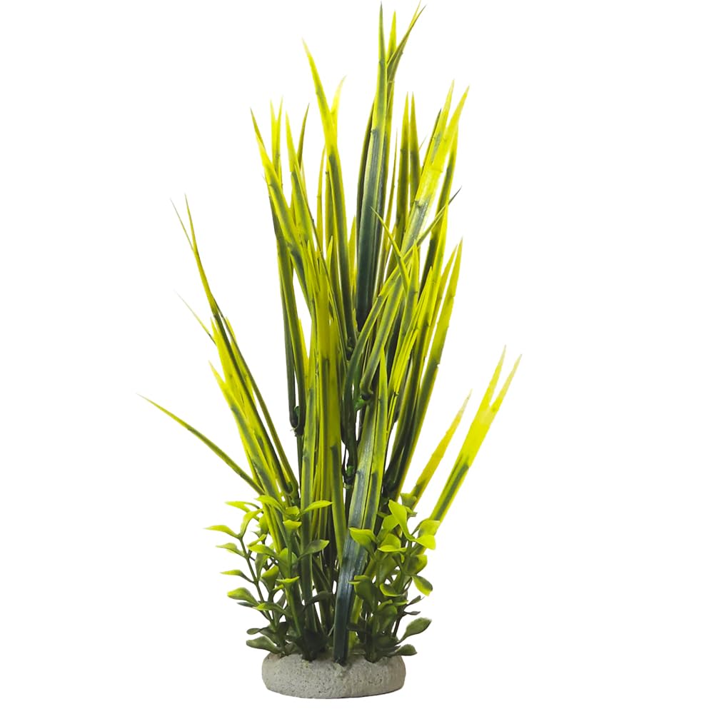 Nobby Aqua Ornaments Vallisneria 7 x 7 x 32.5 cm