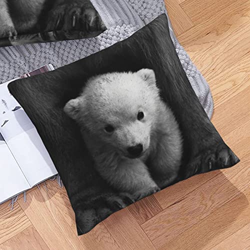 NbVJo[ lۂ 45 × 45CM k  Vv qF̃zbLNO} \t@w Jo[ zcJo[  ͋C  m ԗp ㎿