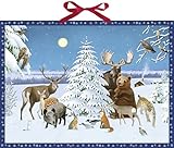 Weihnachten bei den Waldtieren