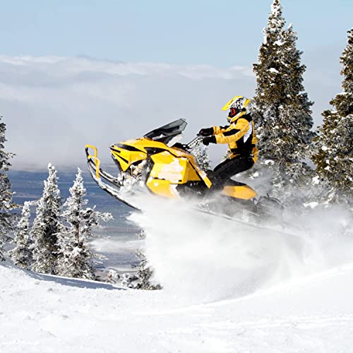 Fitrell 2 Pack Men's Ski Socks Full Cushioned Winter Wool Thermal Knee High Warm Socks For Skiing Snowboarding, Blue, Large, Shoe Size 9-12 #TOP7