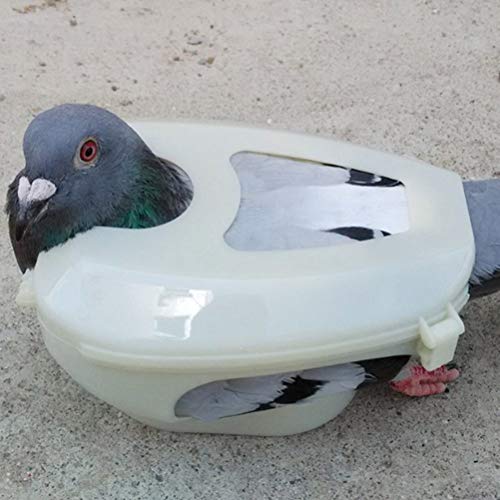 Sahgsa Supporto per Piccione Pratico Supporto per