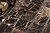 Simple Tile - 5 Sheets Marble Mosaic Tile for Kitchen Backsplash, Bathroom Shower Floor etc., "2X2 Square Collection", 2"X2" Square, 12"X12"X3/8", Polished (Set of 5 Sheets, EDMM0202 - Emperador Dark)