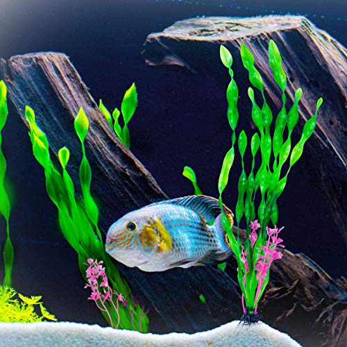 CousDUoBe 12 PCS Artificial Seaweed Water Plants, Plants for Aquarium Decorations, Fish Tank Decorations Suitable for Home and Office Fish Tank Accessories (Green Upgrade)
