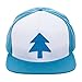 Gravity Falls - Dipper's Hat - Officially Licensed