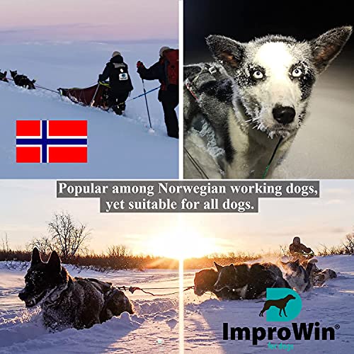 ImproWin for Dogs Omega-3 + B-vitamins | 250 ml - Image 7