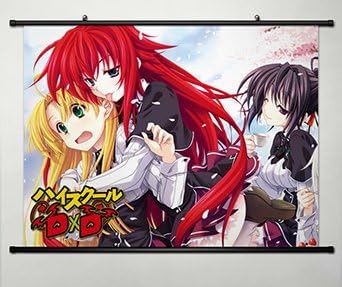 Wall Scroll Poster Fabric Painting For Anime High School DxD New Himejima Akeno & Rias Gremory & Asia Argento 013
