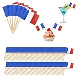NISENTIA 100 Stück Frankreich Flagge Zahnstocher, Frankreich Deko Zahnstocher mit Fähnchen, Cupcake Fähnchen Cocktail Deko Flaggenpicker, Zahnstocher Flaggen Stick für Cake Obst Cocktail Zubehör