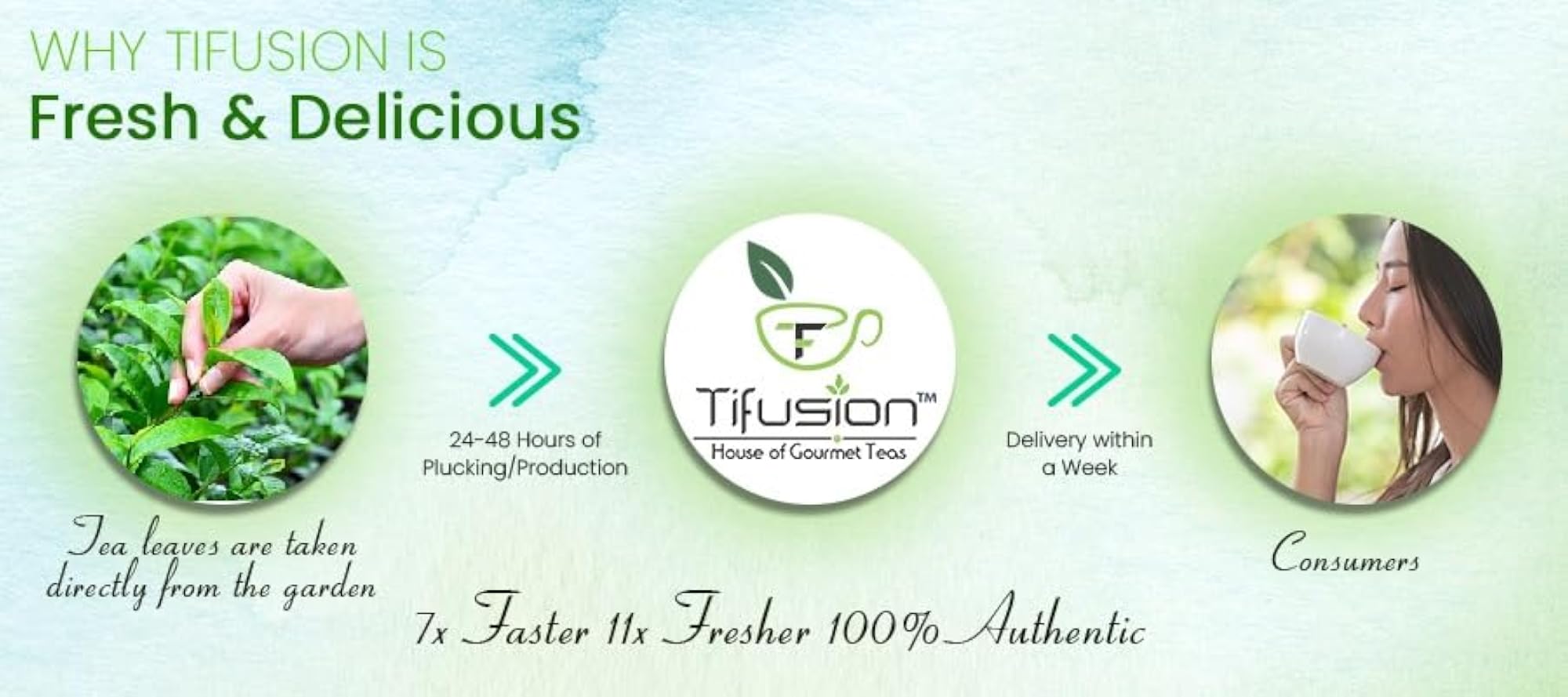 Tifusion Joint Pain Relief Tea with Boswellia
