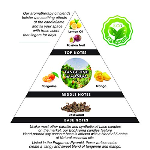 Tangerine & Mango Luxury Scented Scented Organic Coco-Soy Jar Candles Hand Poured Natural Flower Extracted Fragrance Oils Botanical Candles For Aromatherapy Home Scent & Xmas Gifts 8 Oz #TOP2