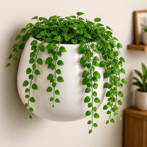 DDSS CP-220 White H. 3.92In Ceramic Wall Hanging Planter Flower P...