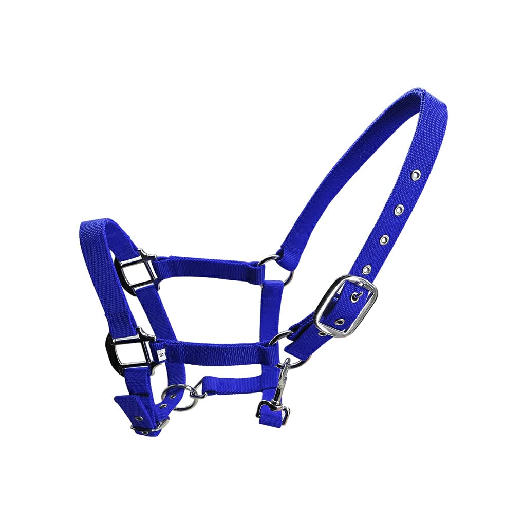 Capezza imbottita Pony Bridle Head Collar Regolabile in lega di zinco Equipaggiamento protettivo Indossare facilmente Forniture per cavalli Solidità, Blu, XL