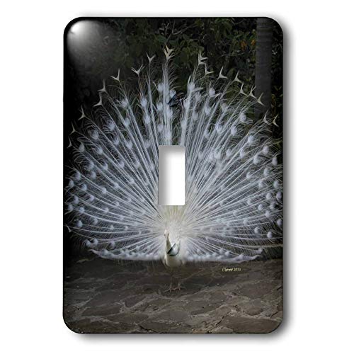 Interrupteur paon albino a bascule simple et design mural - 2