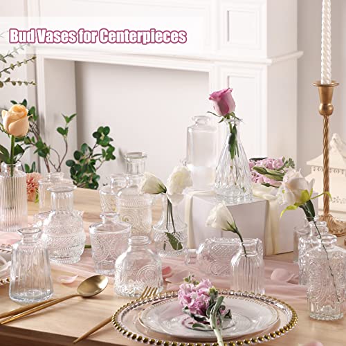 Cucumi 24 Glass Bud Vase Set, Small Vases For Flowers, Clear Bud Vases For Centerpieces Mini Flower Vases In Bulk For Rustic Wedding Decorations Vintage Look Home Table Decor #TOP1