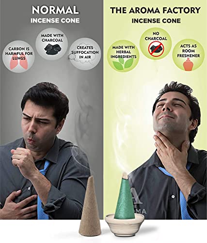 Image of The Aroma Factory Incense Dhoop Cone for Pooja, Green Apple (100% Herbal & 0% Charcoal) 1 Bottle x 30 Cones