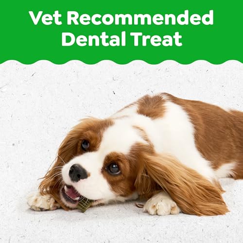Greenies Puppy Teenie Natural Dental Dog Treats, Original Flavor, 22 Count - image 2